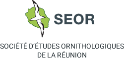 Logo SEOR