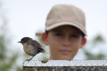 Des oiseaux et des hommes