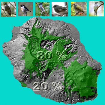 Répartition de l'abondance des passereaux forestiers