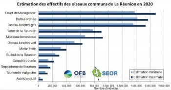 Effectifs des oiseaux communs de La Réunion