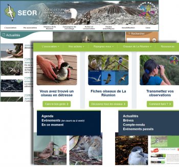 Le site de la SEOR a mué !