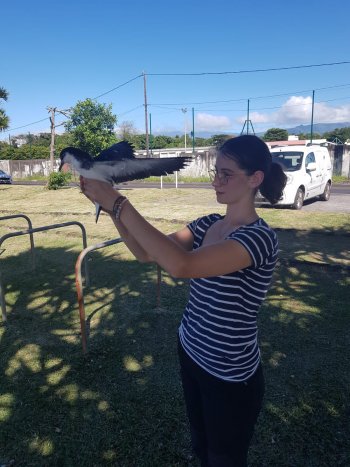 L'équipe du centre de soins renforcée par une stagiaire