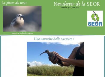 Newsletter n°40