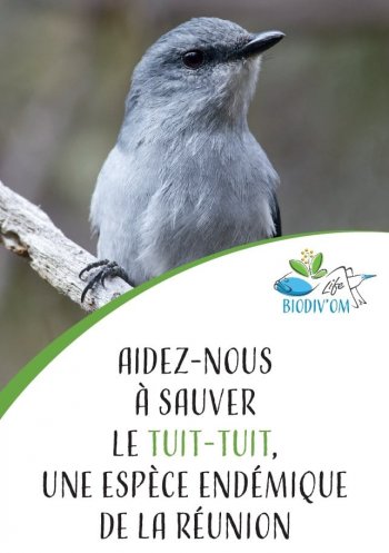 La SEOR recherche des bénévoles pour sauver le Tuit-tuit !