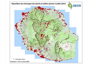 NEWSLETTER DE LA SEOR N°41 - Juillet 2022