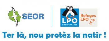 La démarche