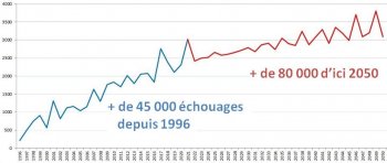 Suivi et analyse des données d'échouage