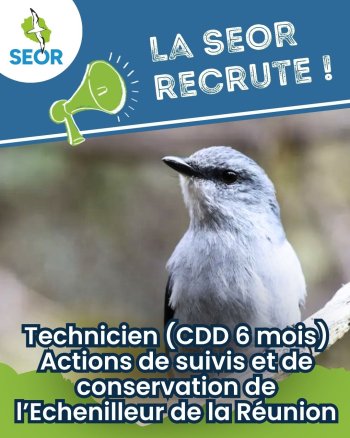 La SEOR recrute un technicien de terrain
