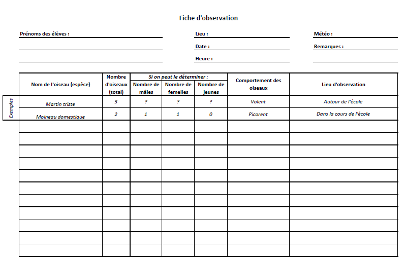 fiche_dobservation.png