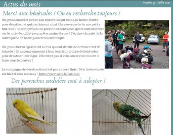 Newsletter SEOR n°35