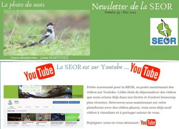 Newsletter SEOR n°39