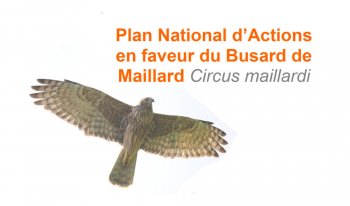 Ouverture de l'enquête publique sur le Plan national d'actions Papangue