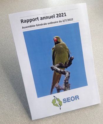 Le rapport d'activité 2021 de la SEOR est disponible