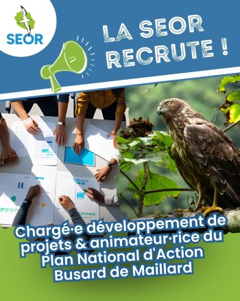 La SEOR recrute !