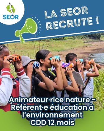 La SEOR recrute un·e animateur·rice nature !