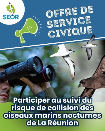 Offre de service civique - Suivi du risque de collision des oiseaux marins