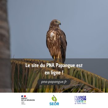 Le site internet du PNA Papangue est en ligne !