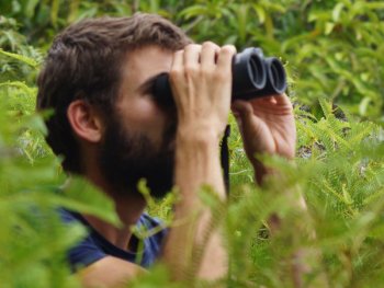 La SEOR recrute un Technicien de terrain Papangue
